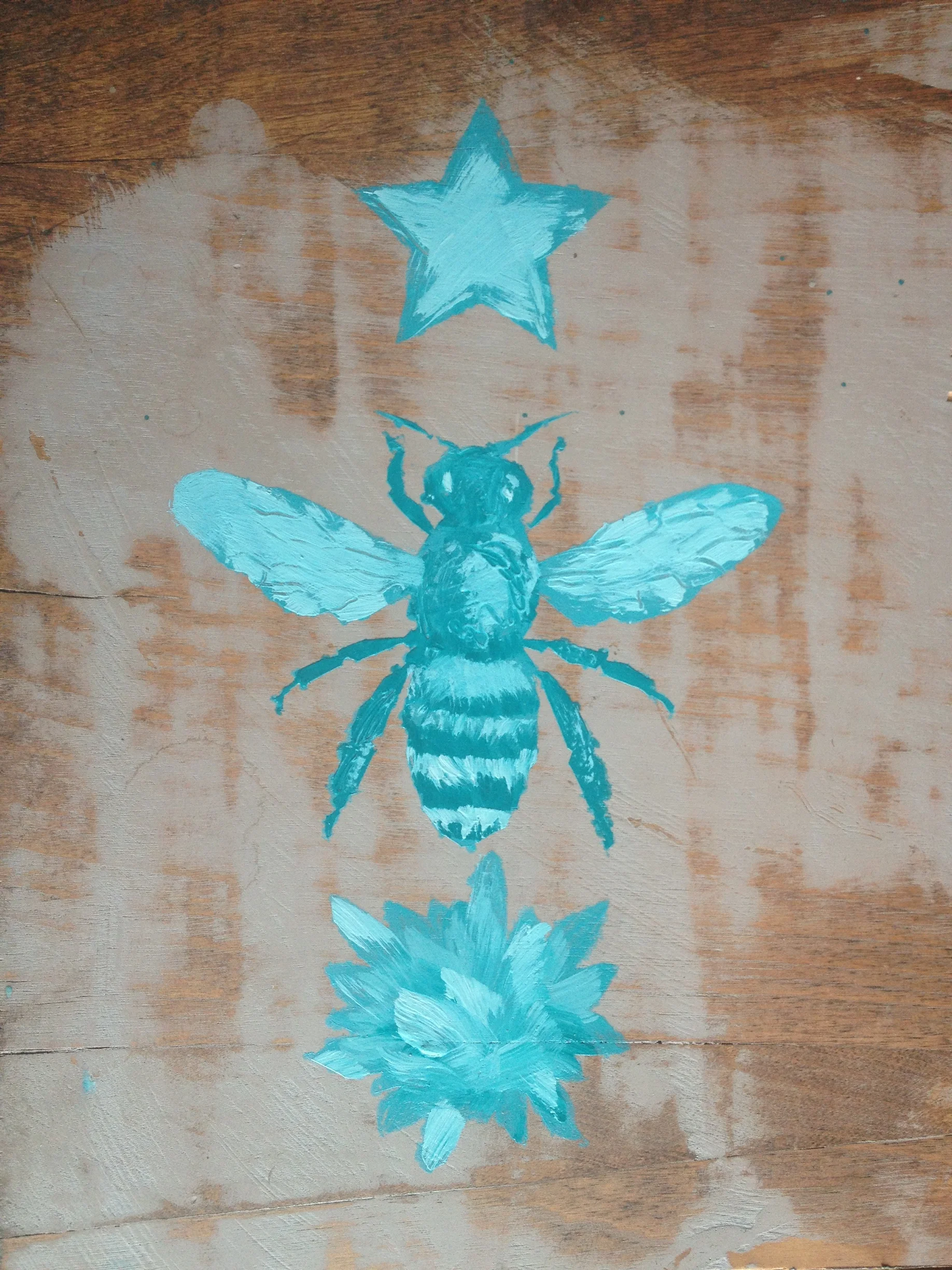 Entomology And The Art Of Bicycle Repair