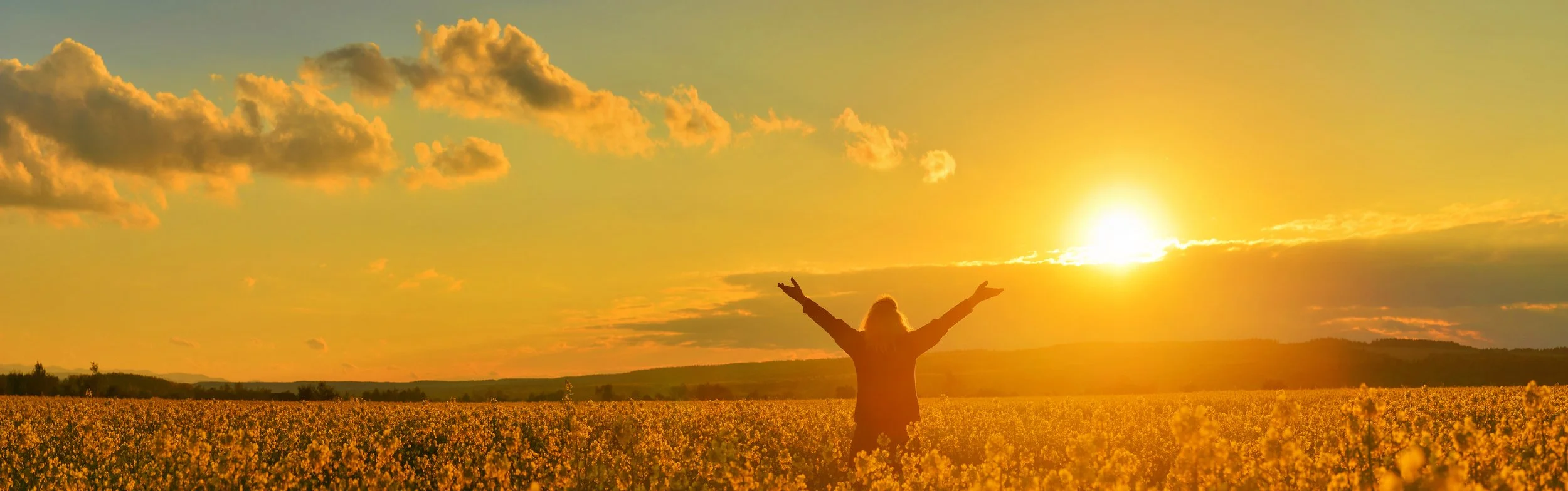 Horizon Chiropractic Sioux Falls.jpeg