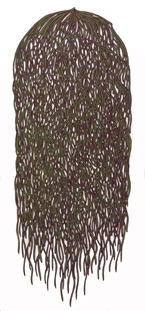 Bunch #7 (green/purlple)