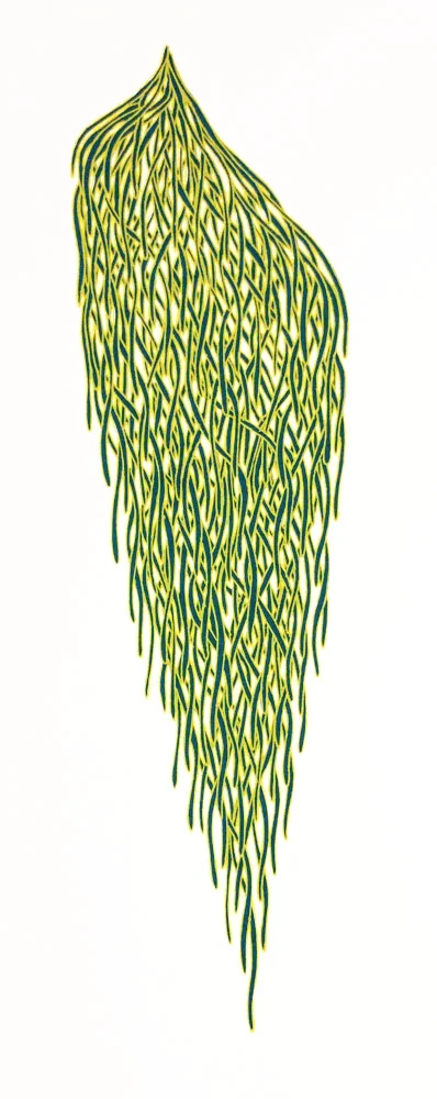 Bunch #5 (navy/yellow)
