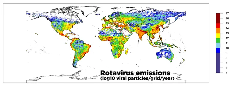 This is a map of fecal viruses across the globe. Red shades indicate severe concentrations of the deadly rotavirus.