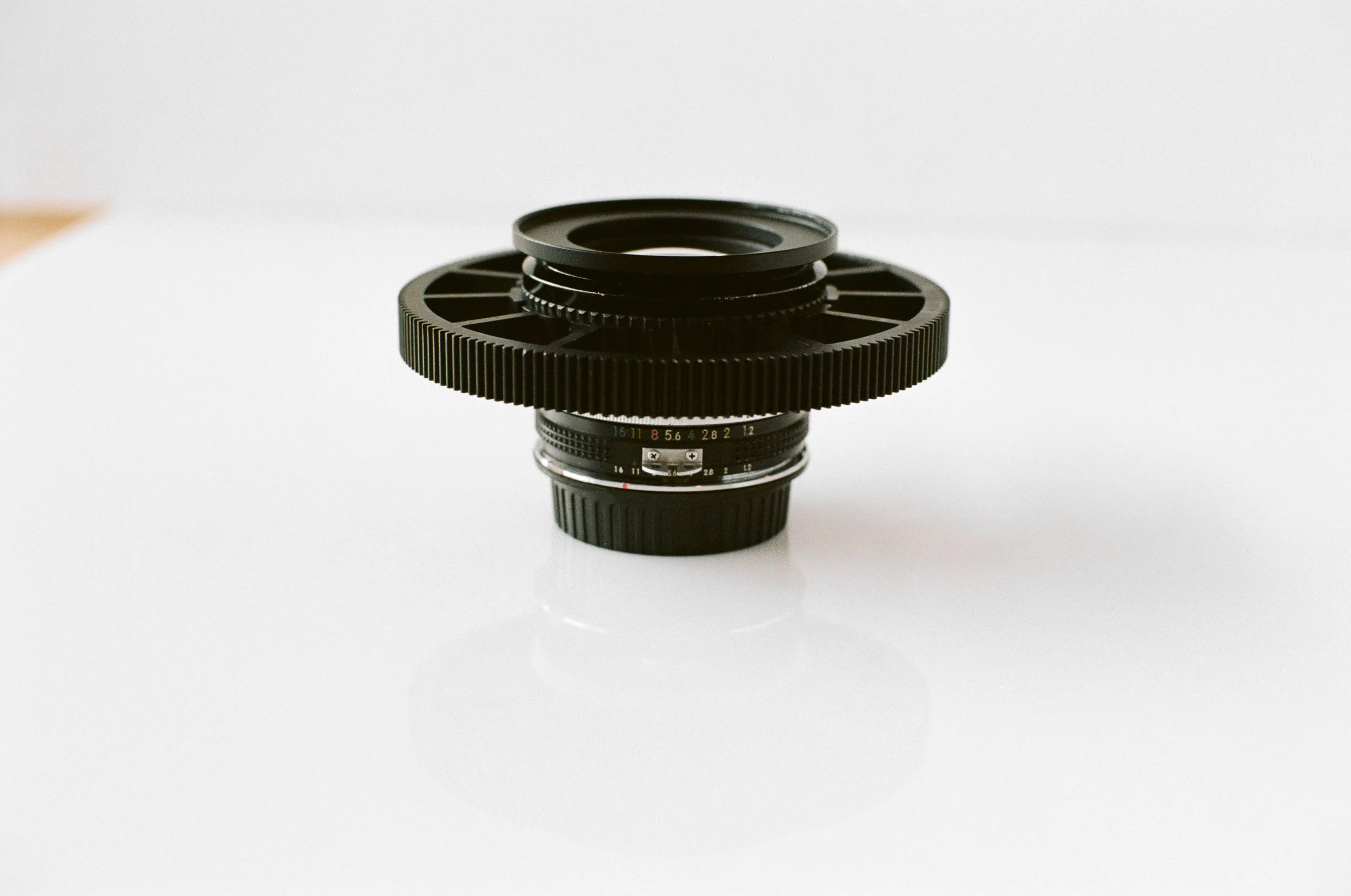 Winter Favorite-3.jpg