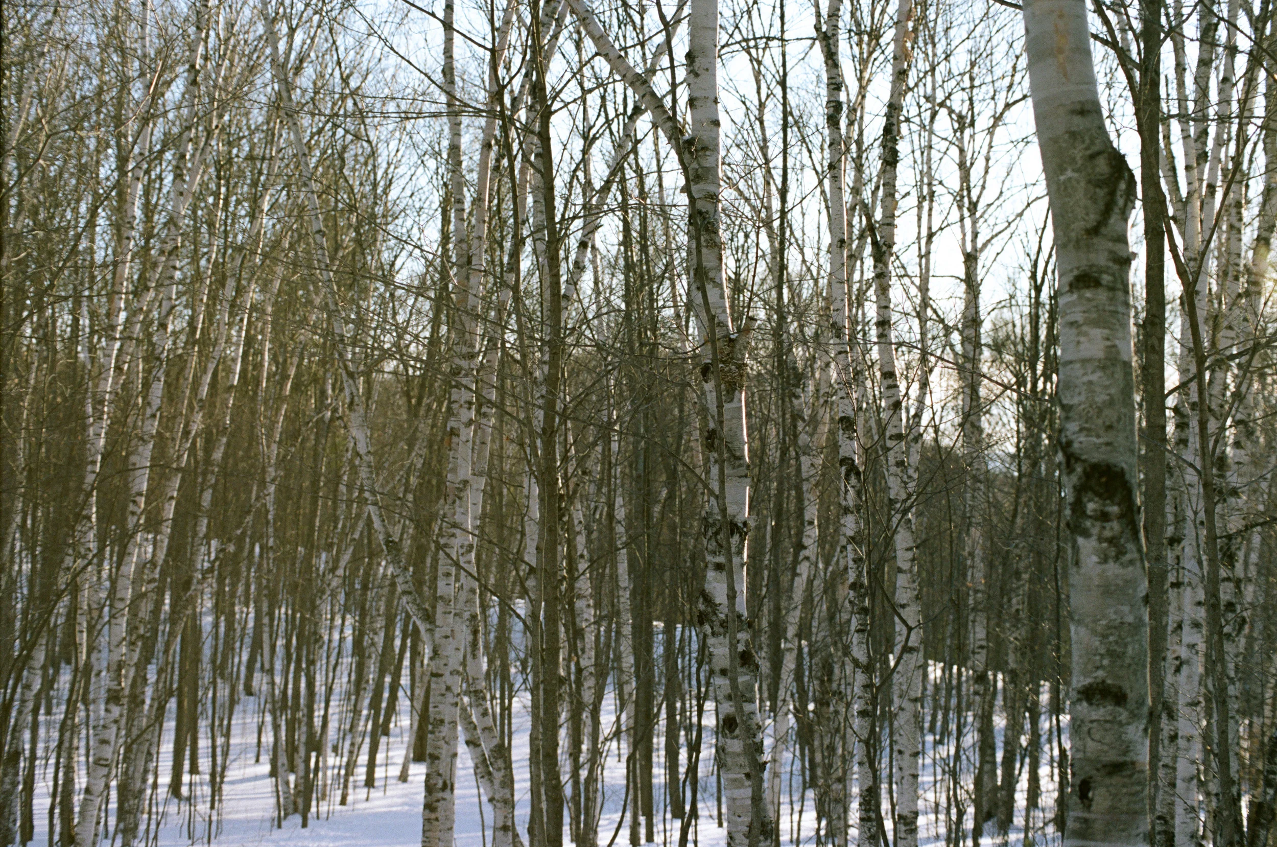 Winter Favorite-8.jpg