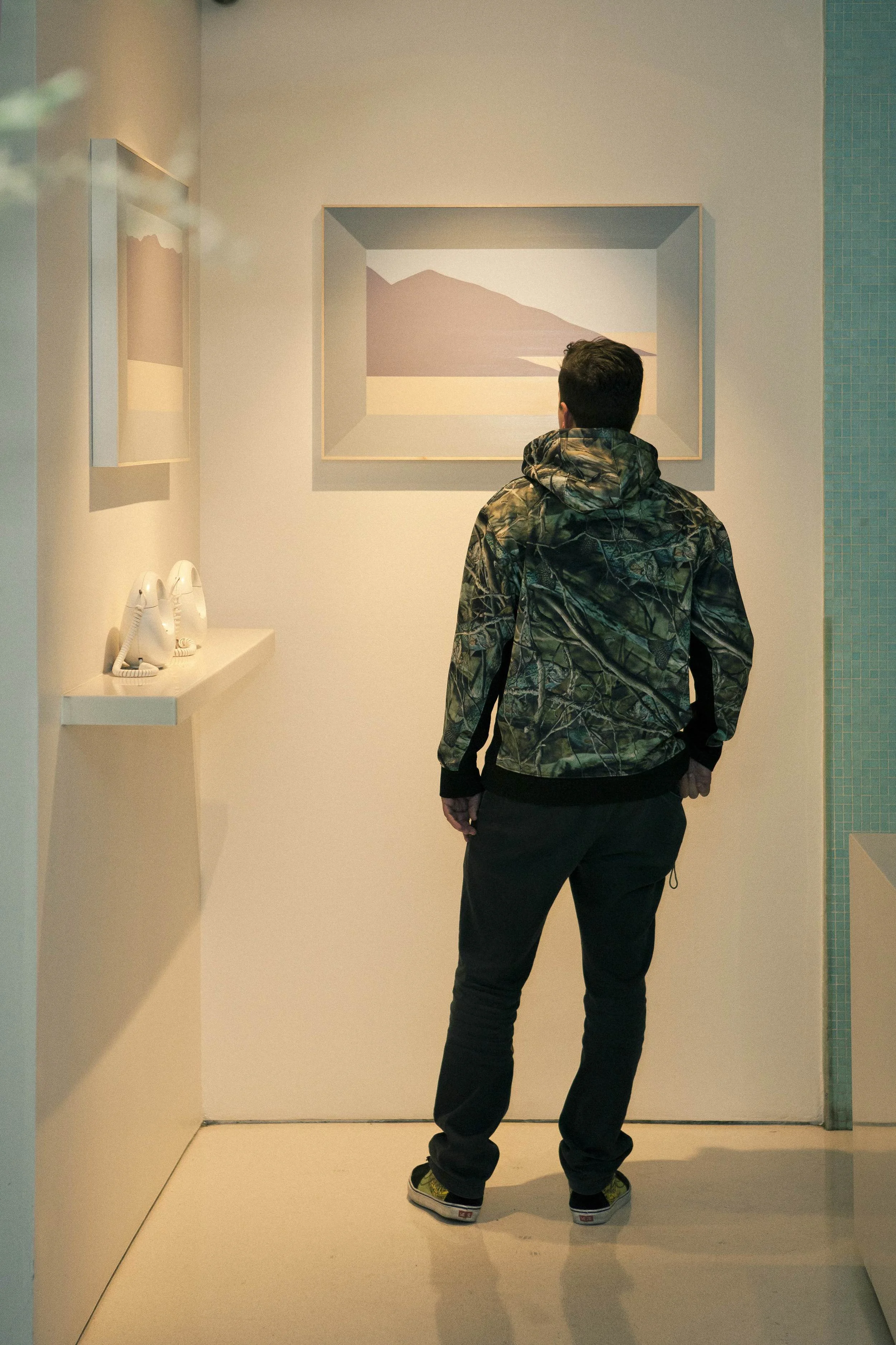 THE STANDARD HOLLYWOOD DAVID BROWNE VIRGIN VISIONS .jpg