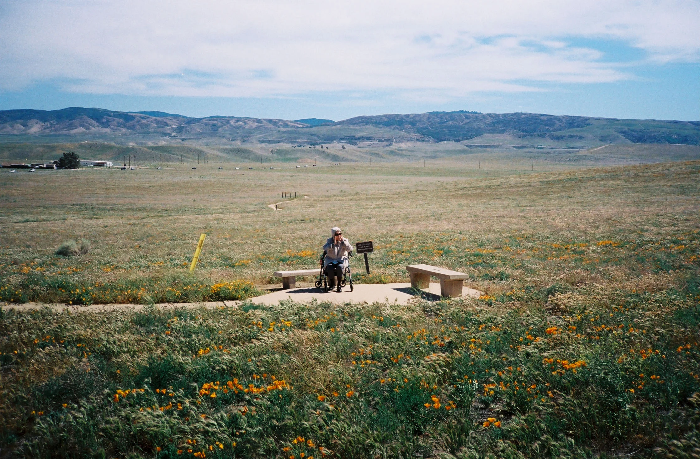 POPPY FIELD LADY DAVID BROWNE ART PHOTOGRAPHY.jpg