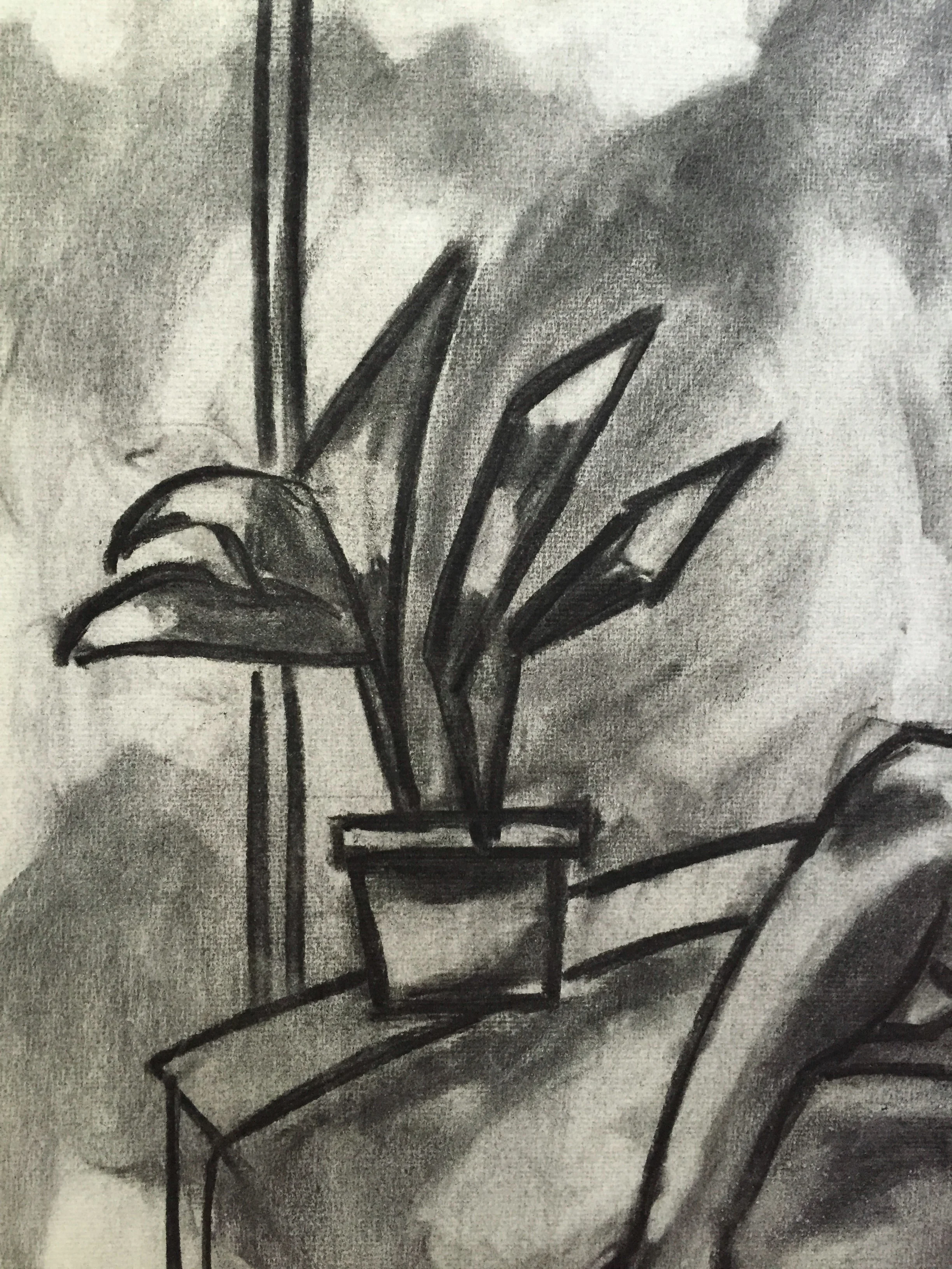 1950's Charcoal Seated Nude Henry Woon