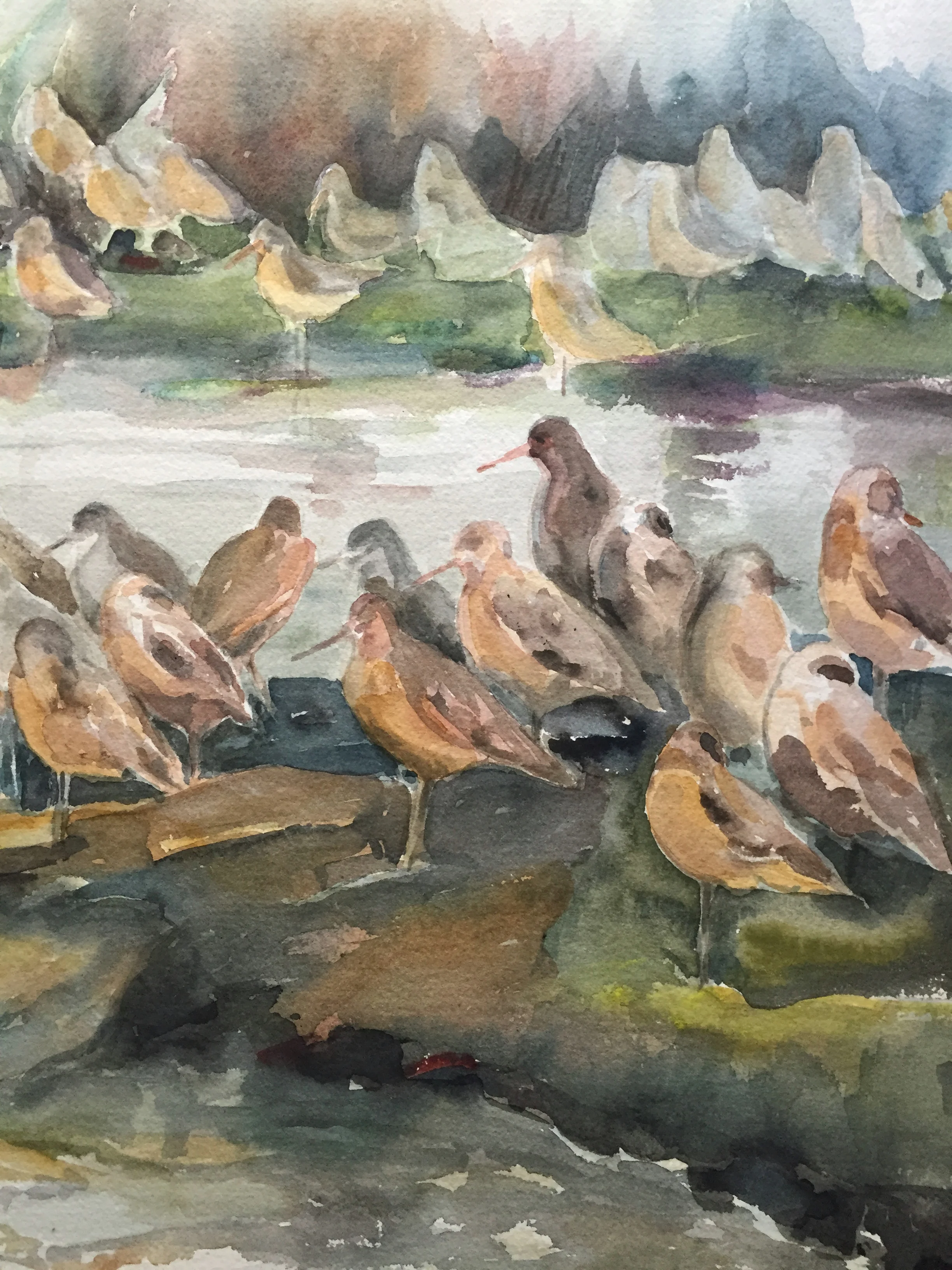 birds1-4.jpg