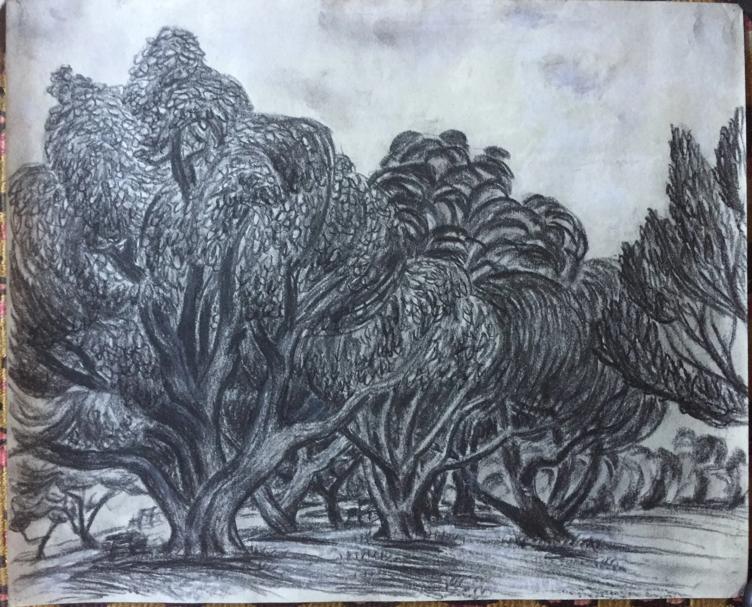 Mid Century Vintage Oakland Landscape