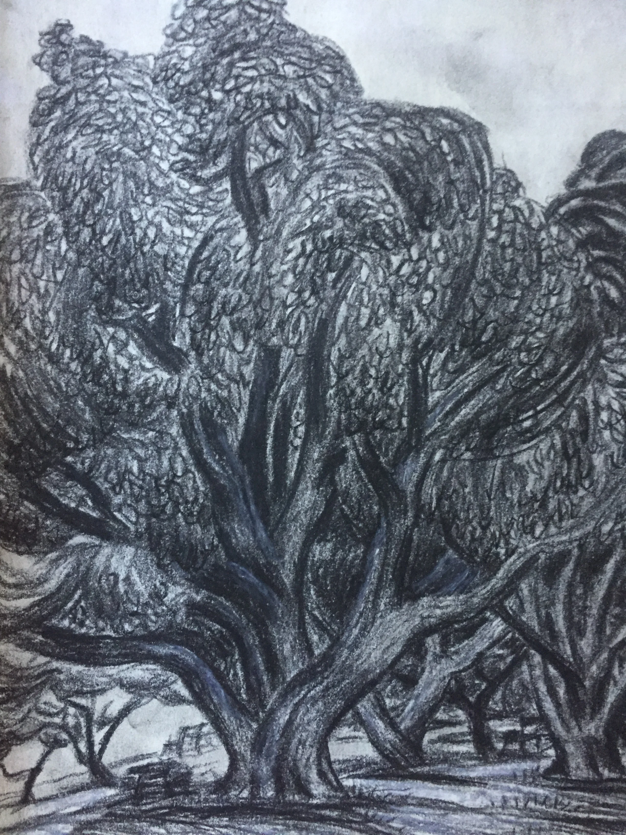 Vintage Charcoal Drawing Swirly Trees at Lake Merritt, Oakland
