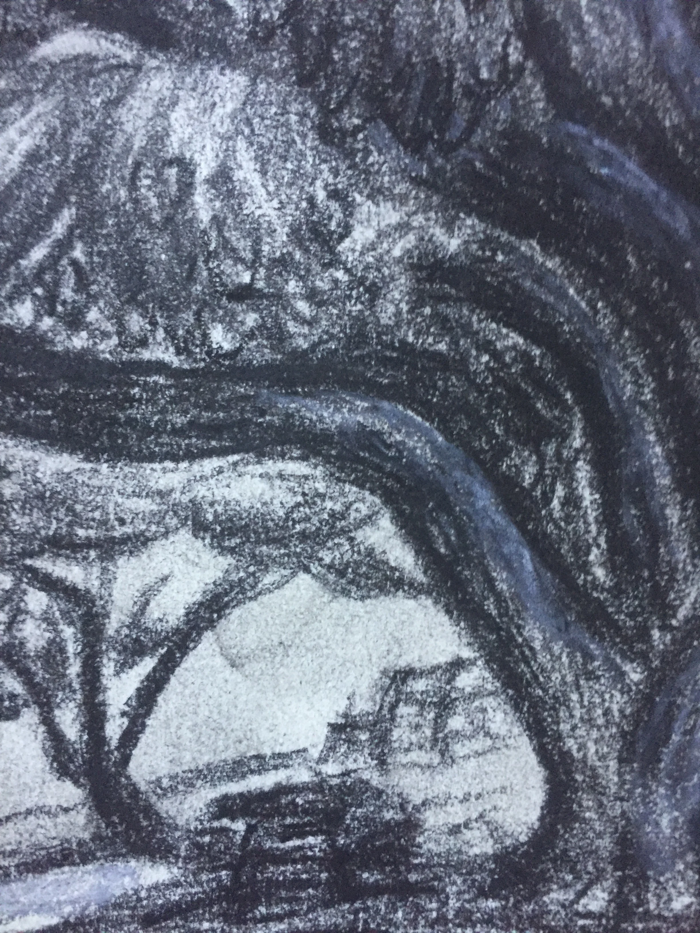 Vintage Charcoal Drawing Swirly Trees at Lake Merritt, Oakland