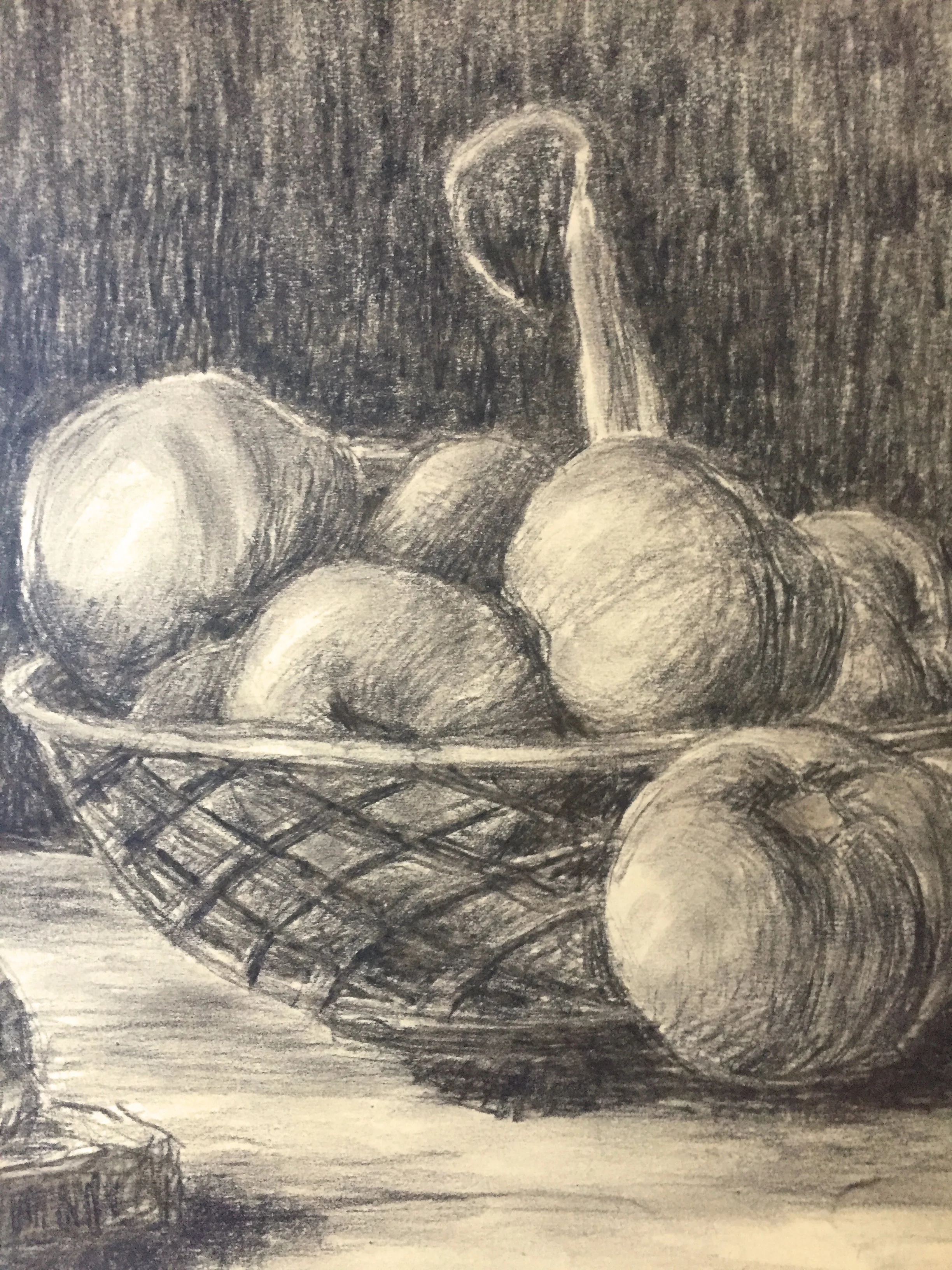 1955 Still Life with Gourd Drawing