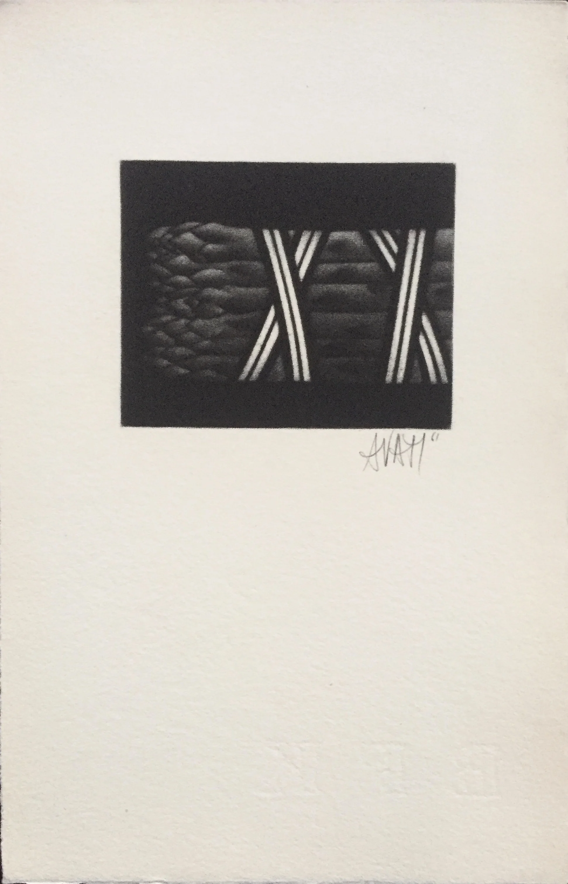Asparagus Mario Avati 1961 Mezzotint