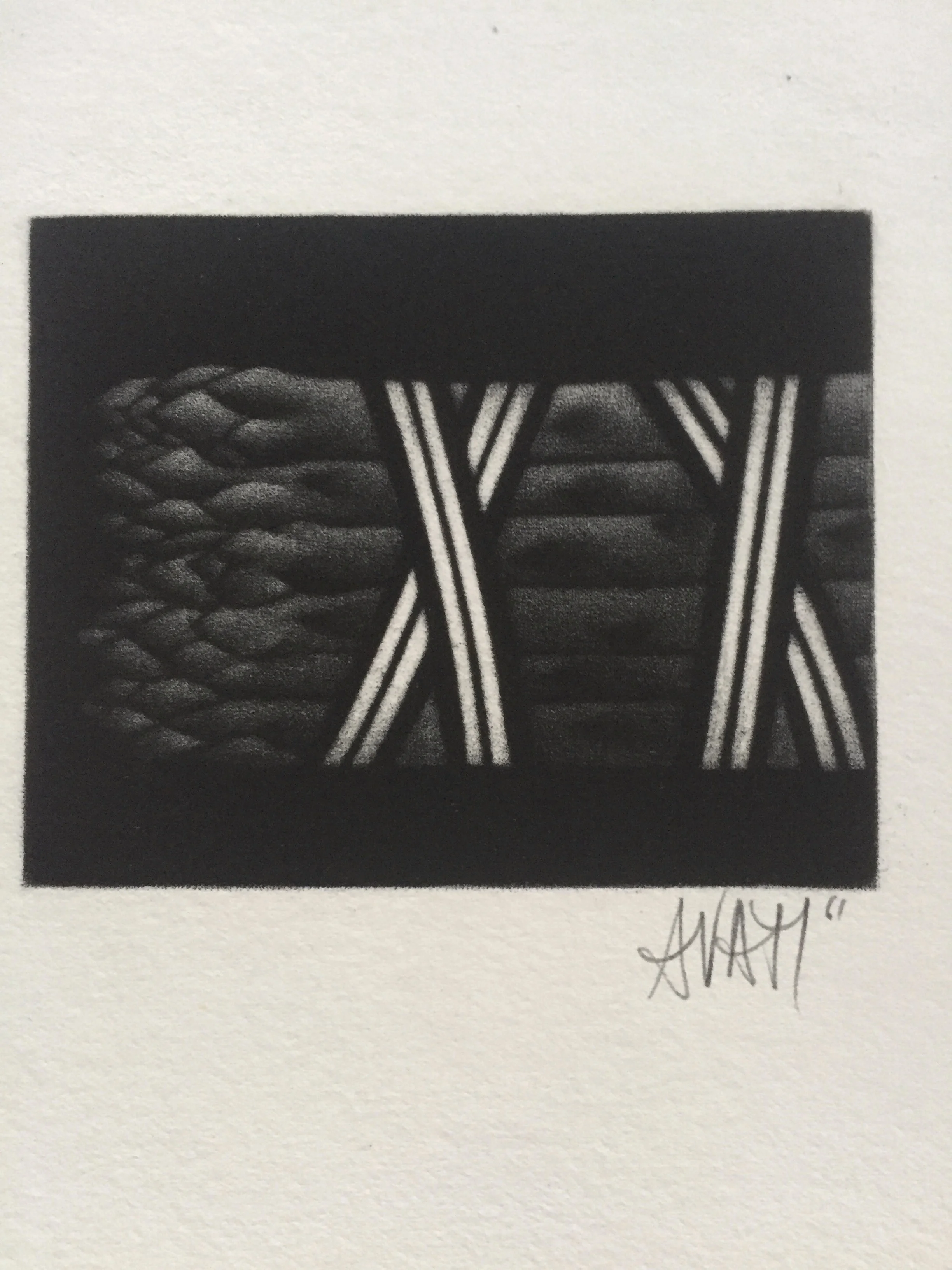 Asparagus Mario Avati 1961 Mezzotint