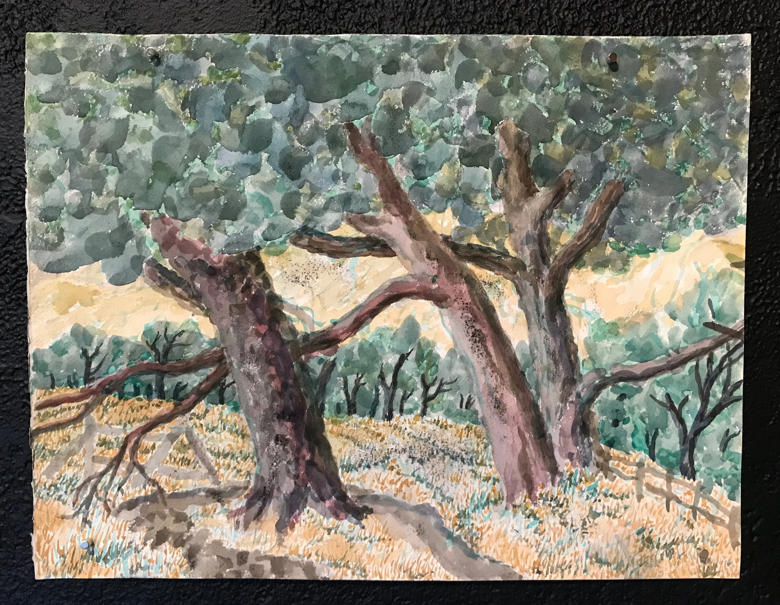 Short Trees 1976 Watercolor