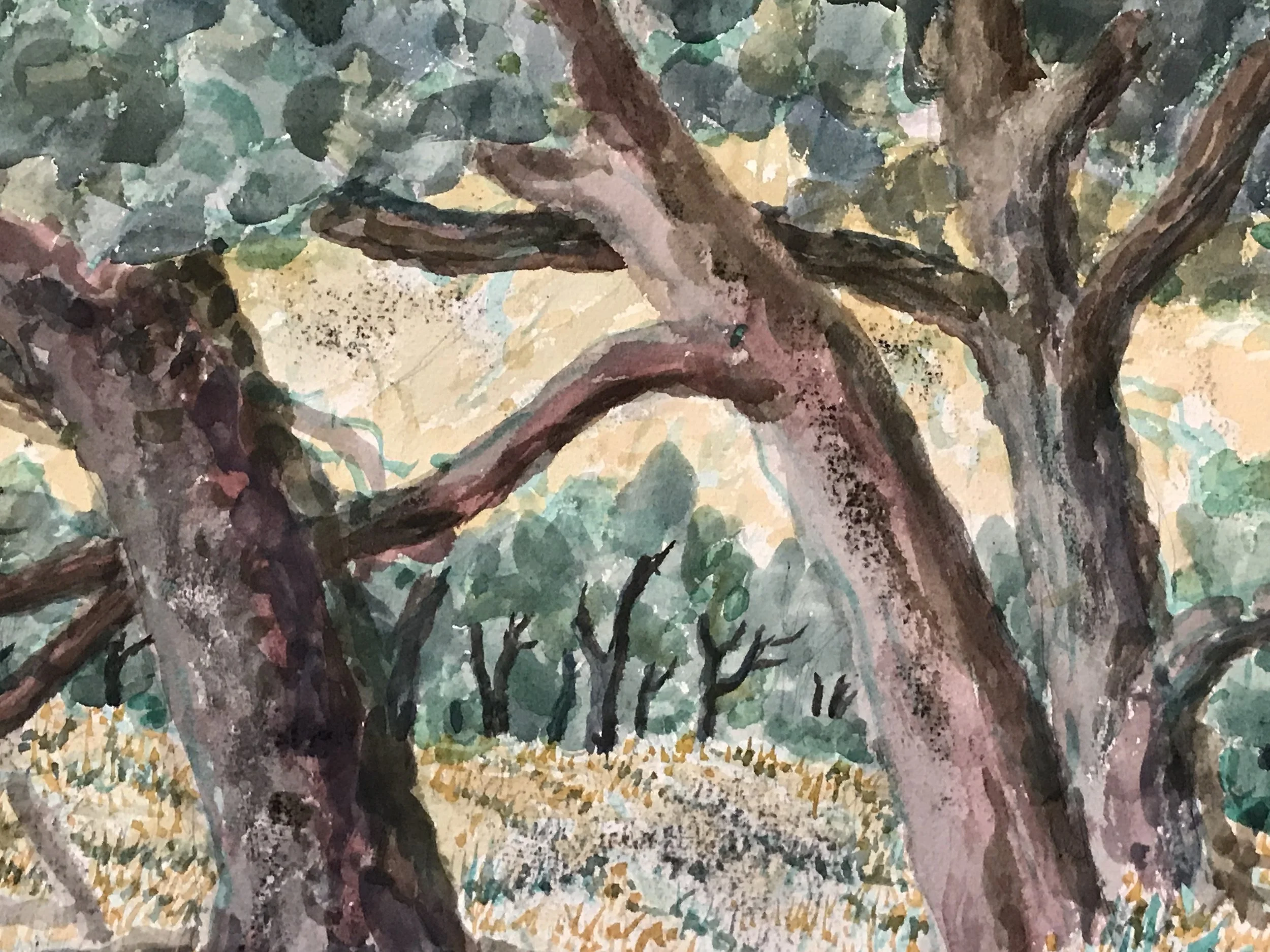Short Trees 1976 Watercolor