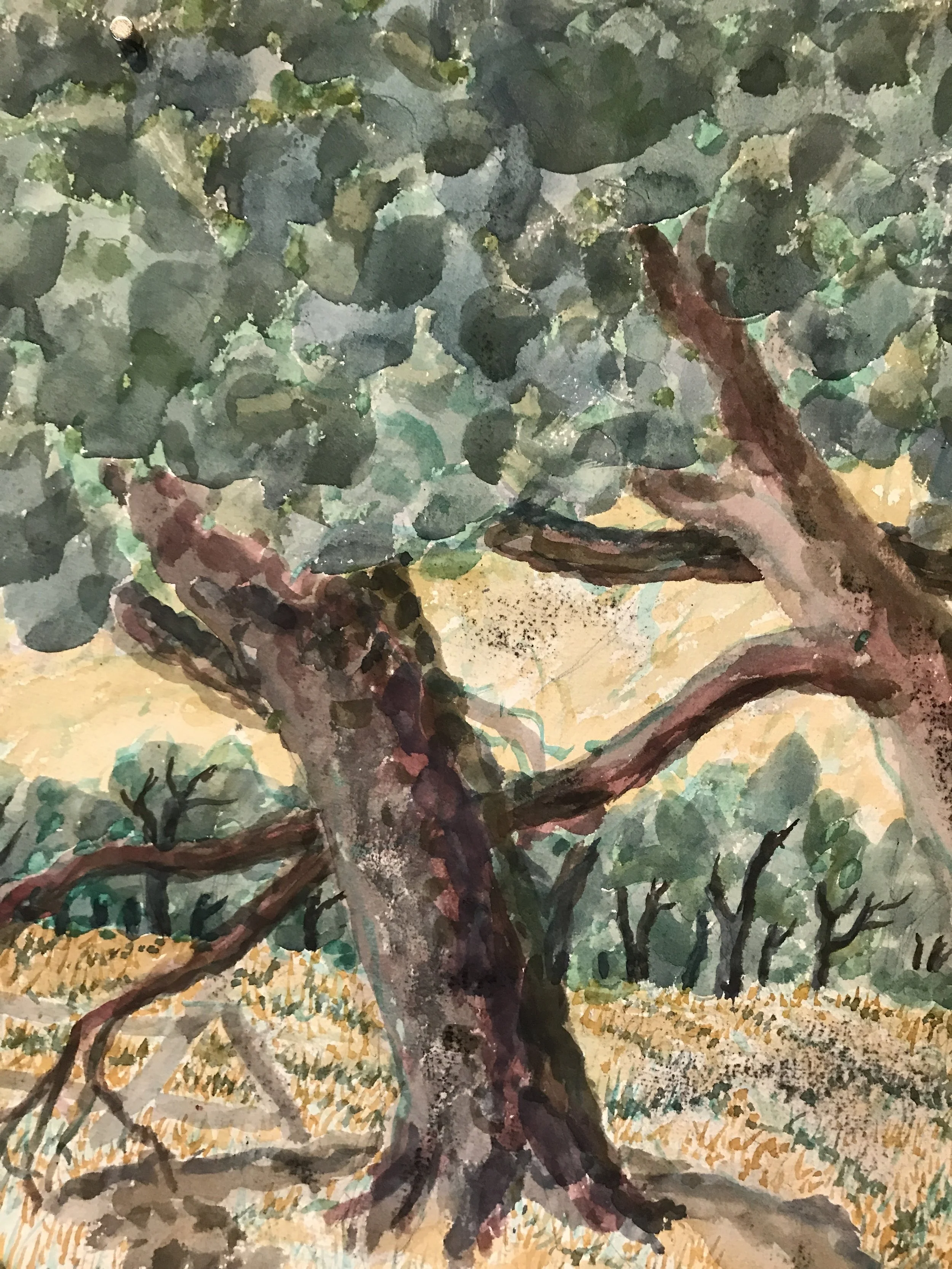 Short Trees 1976 Watercolor