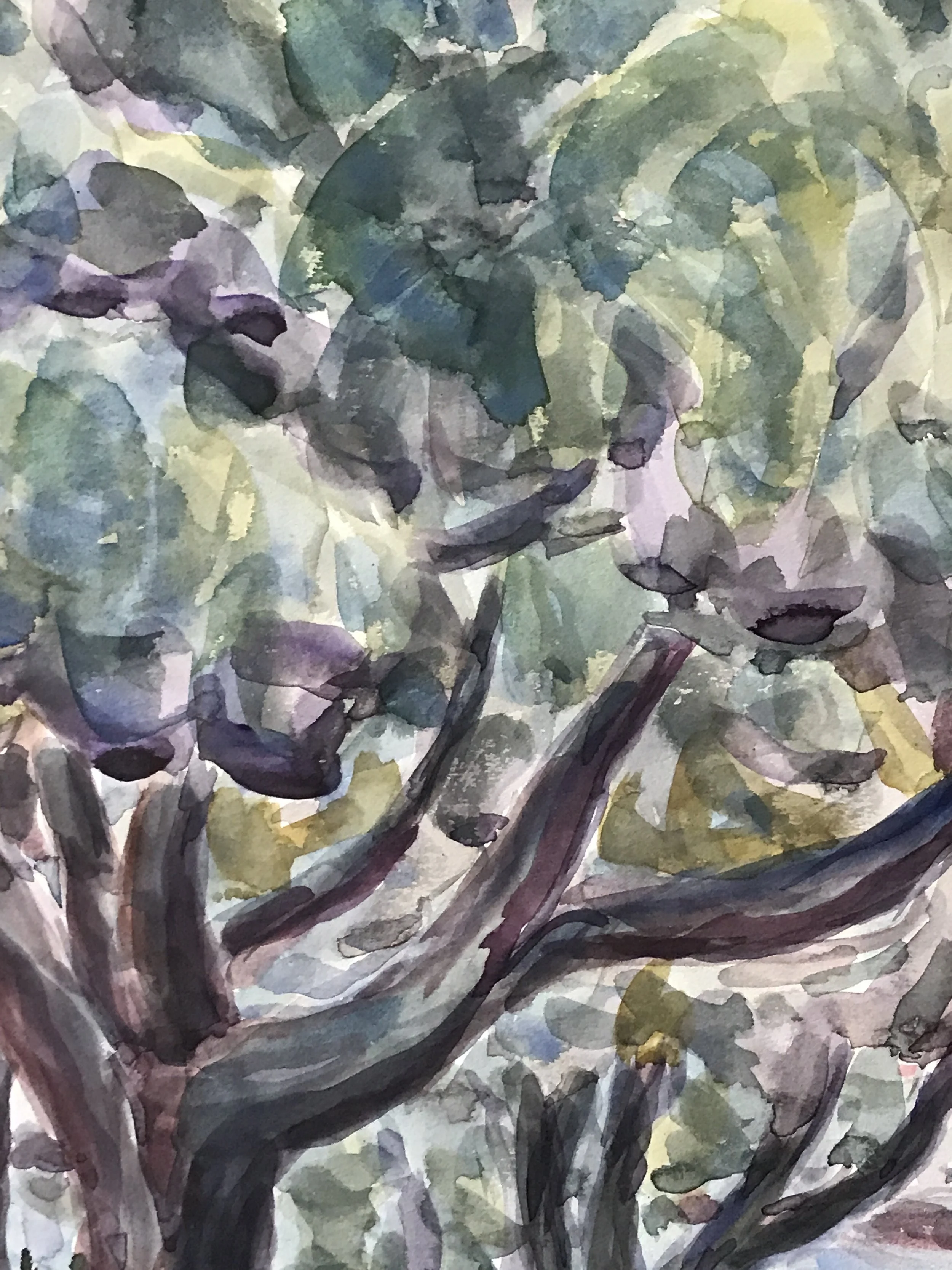 1959 Lake Merritt Oakland Watercolor Landscape