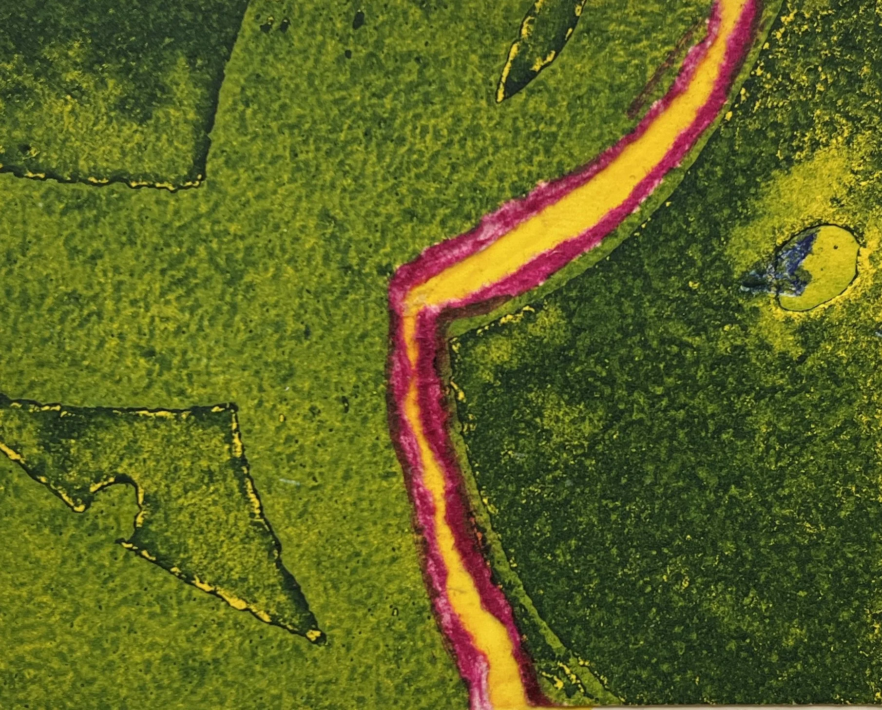 Myril Adler 1960s intaglio etching hand colored print