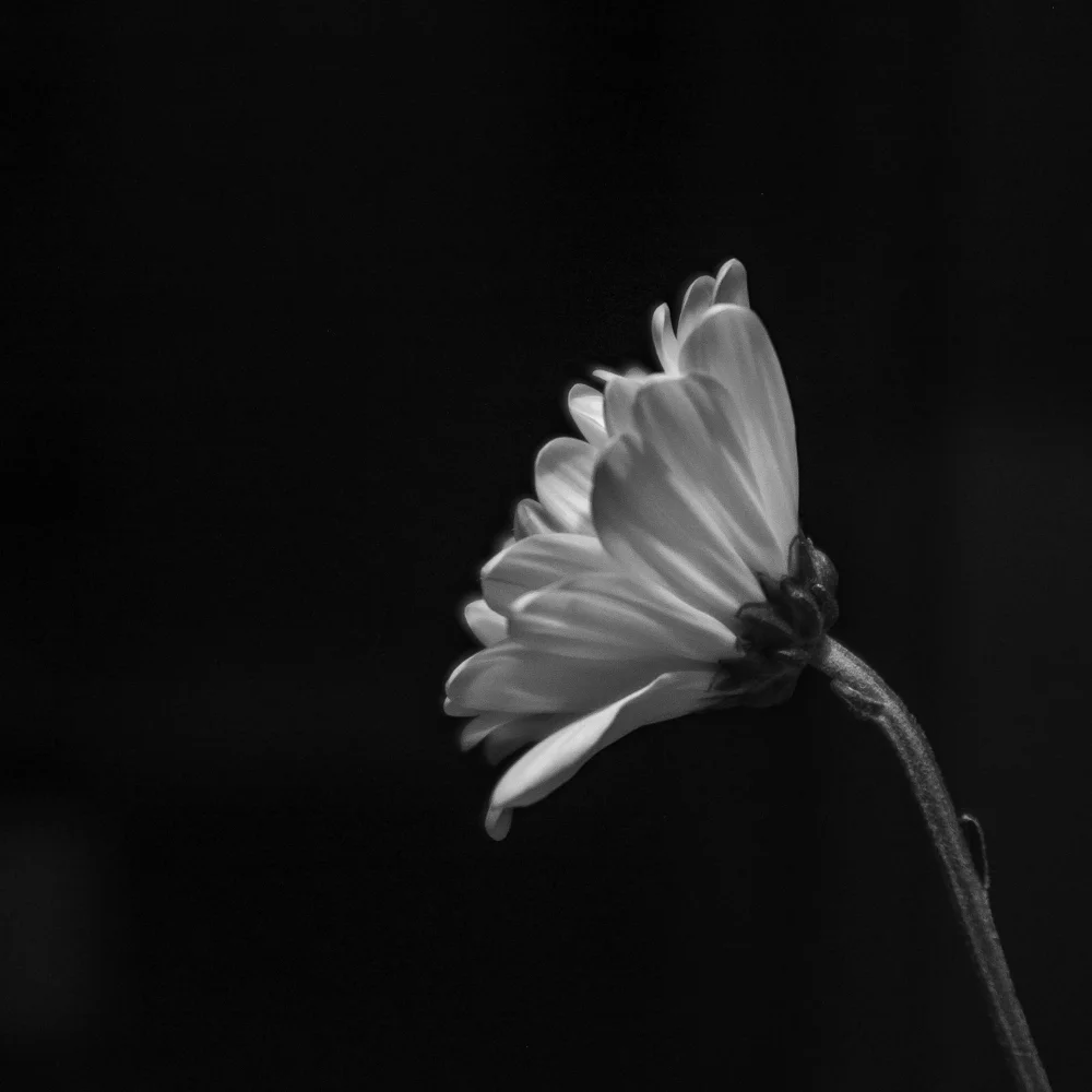 Random Photos-2