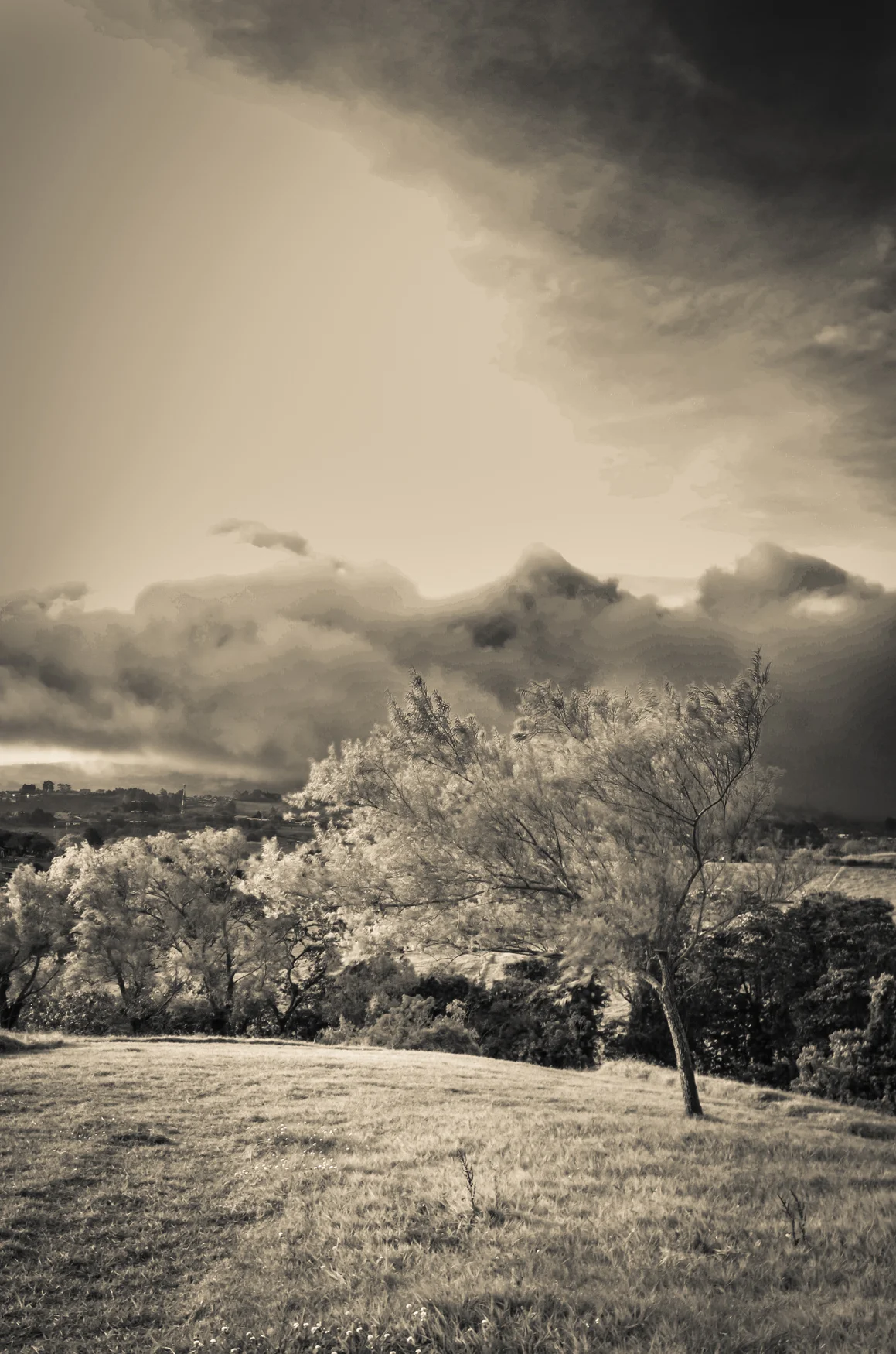 Costa Rica-9-2.jpg