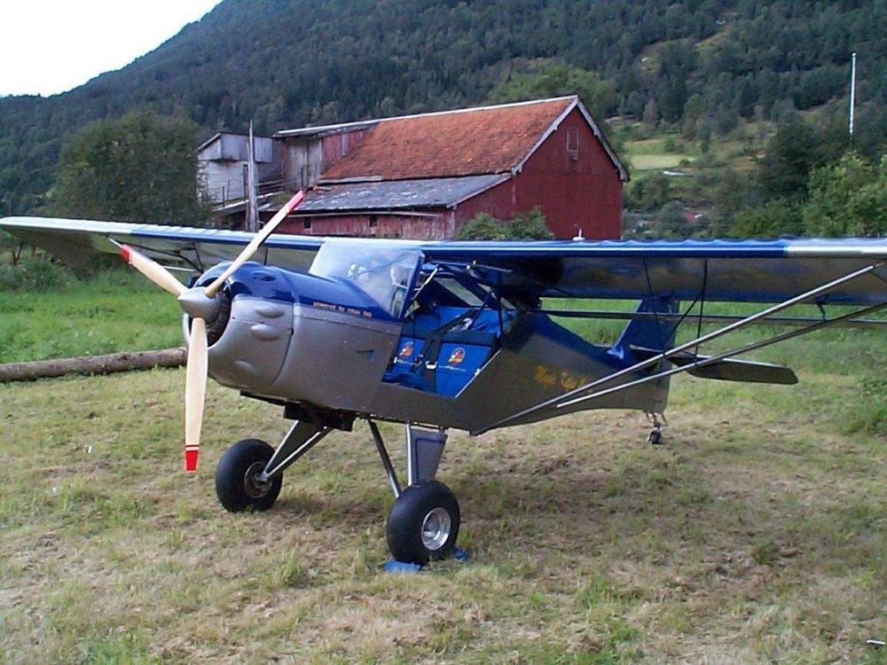 kitfox1.jpg