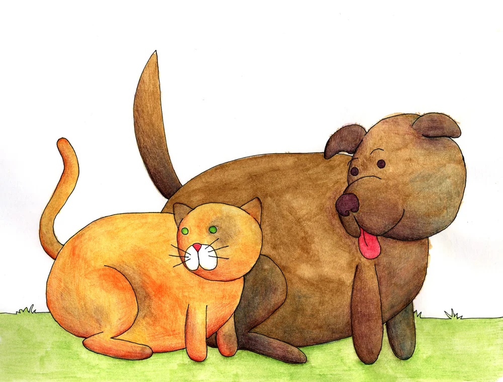 Cats and dogs,
