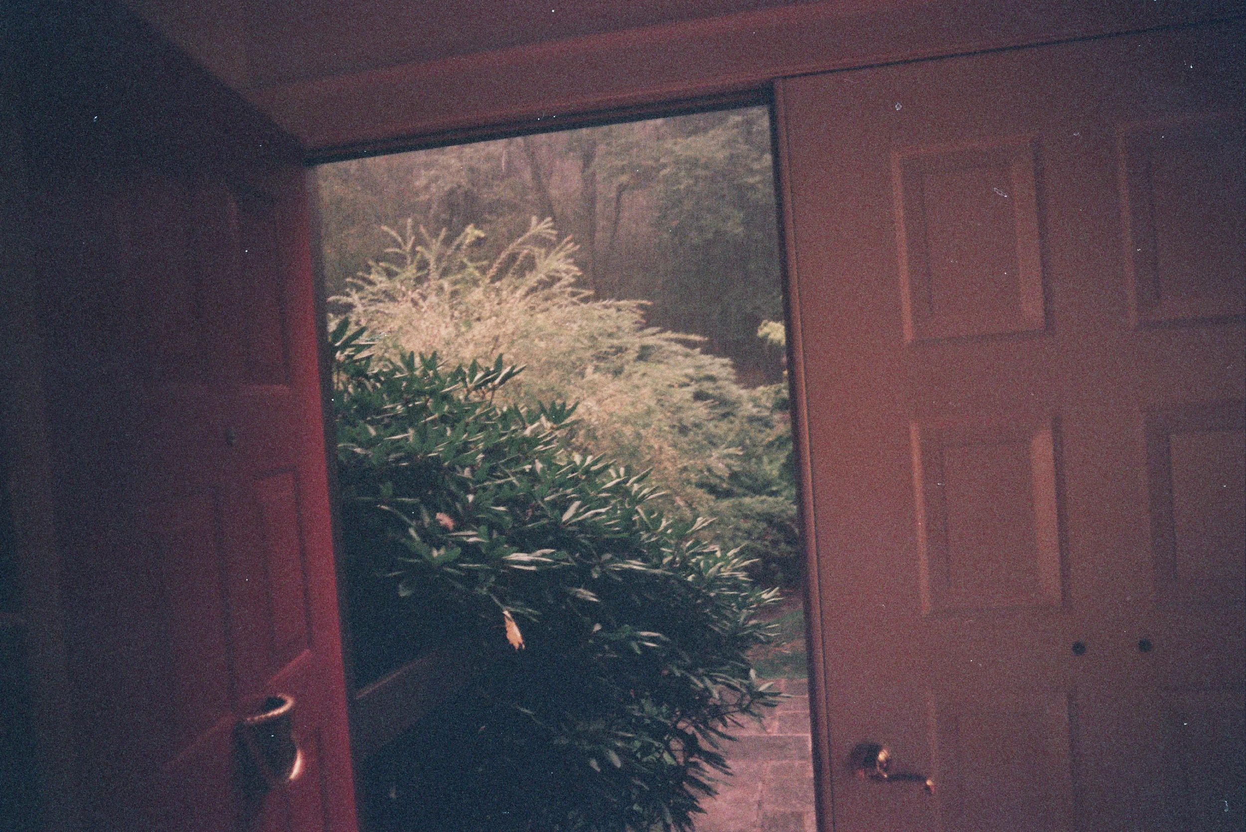 Summer Rain, 2010