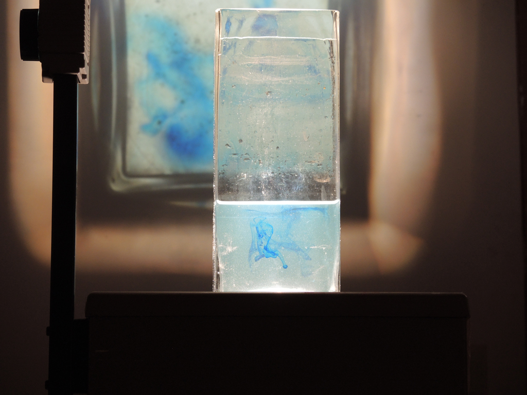 DSCN5956.jpg