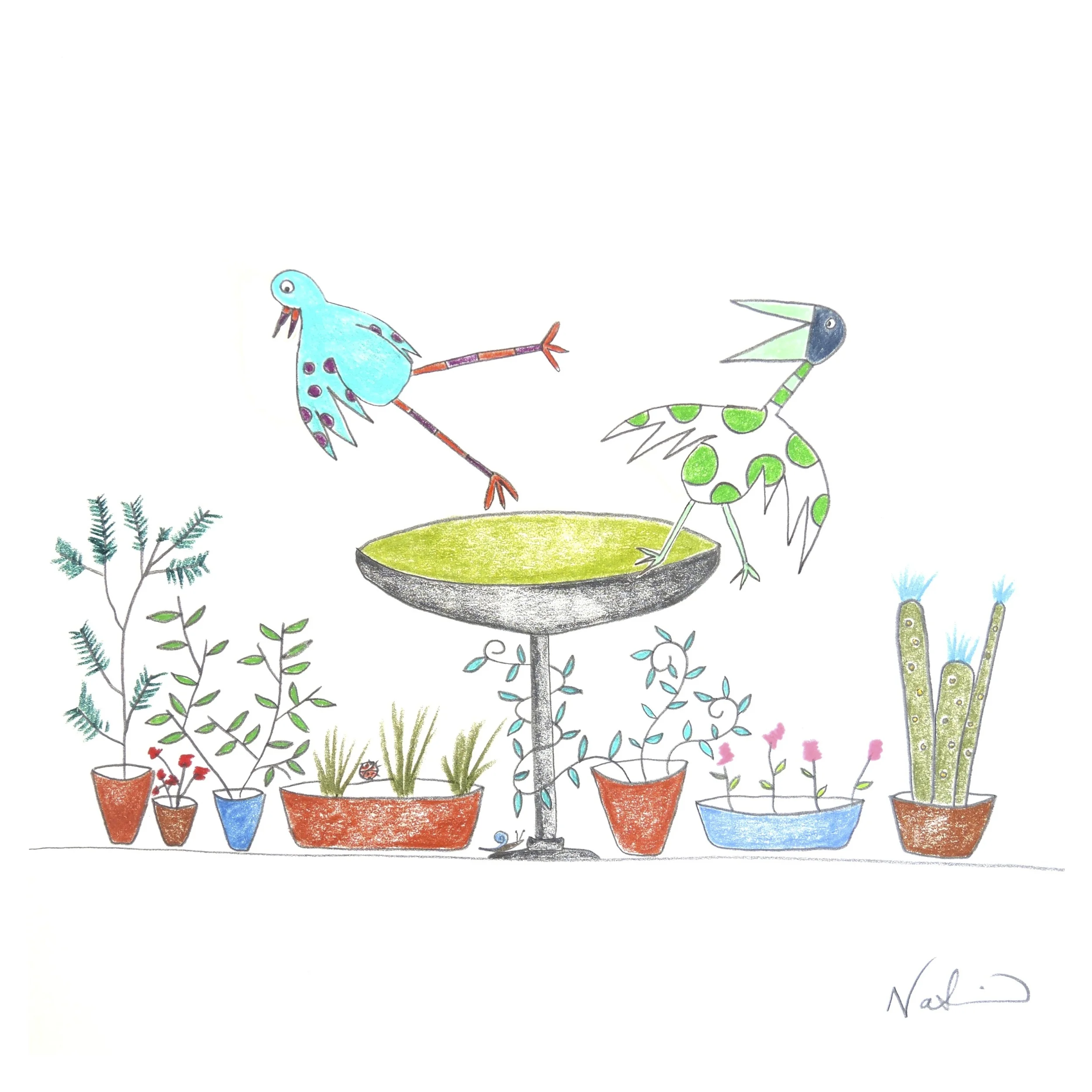 Bird Bath.jpg