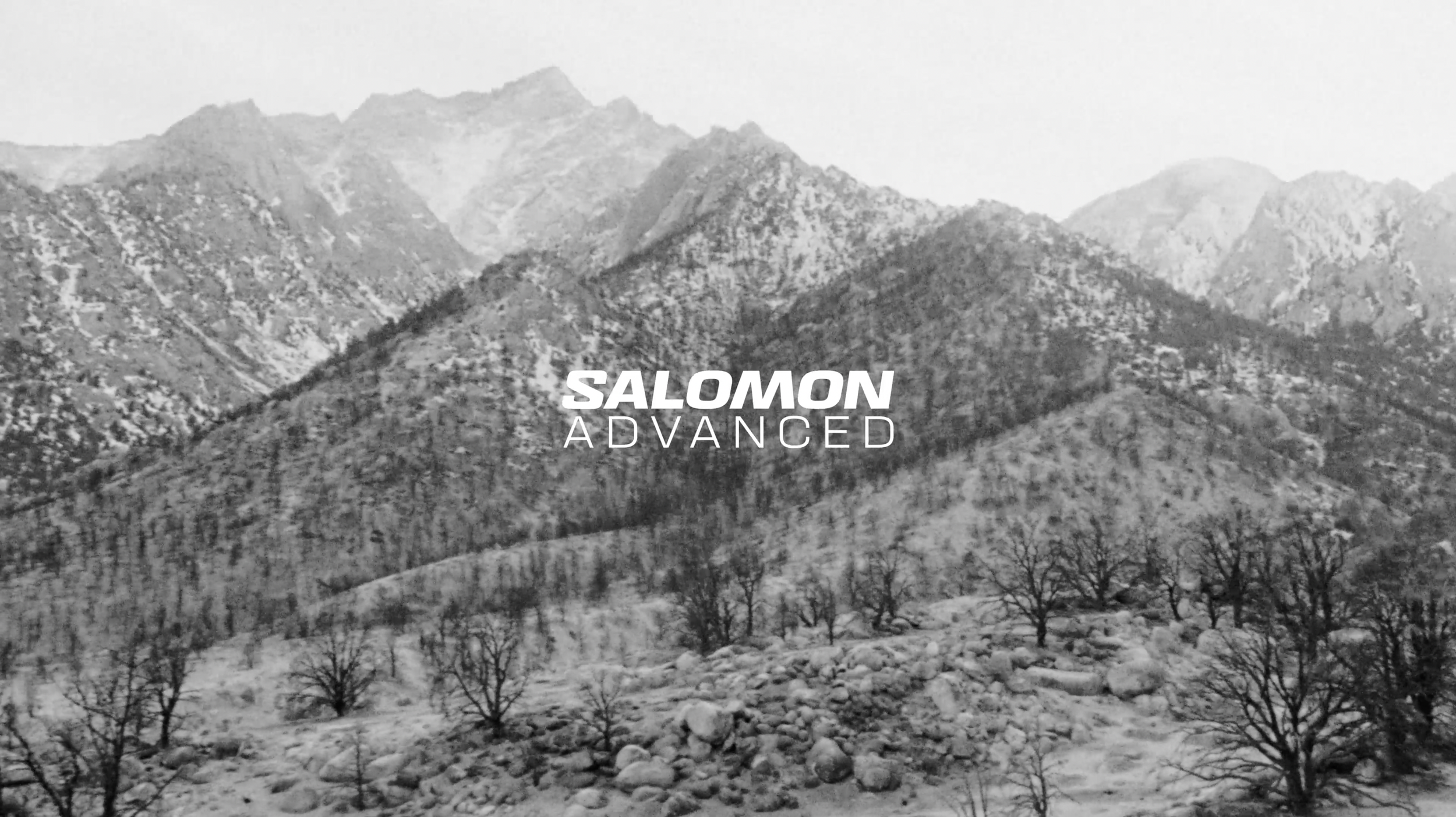 Salomon