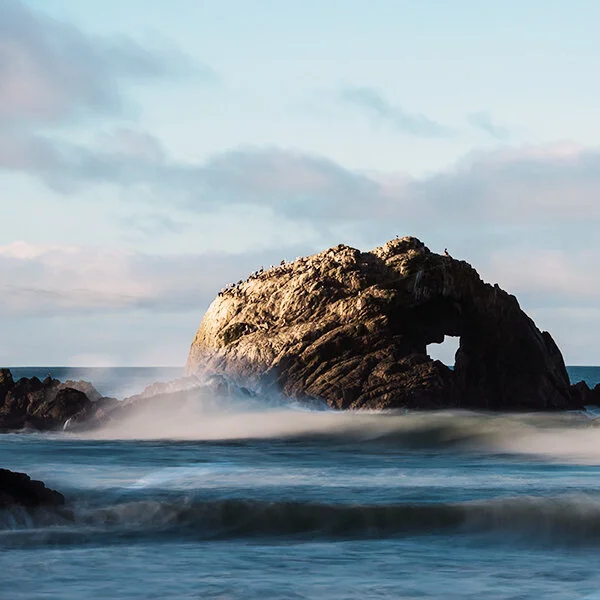 A Message of Gratitude this Holiday Season