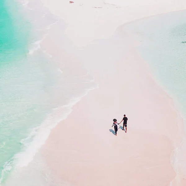 Navigating The New CDC Travel Order In 2021 With Ease