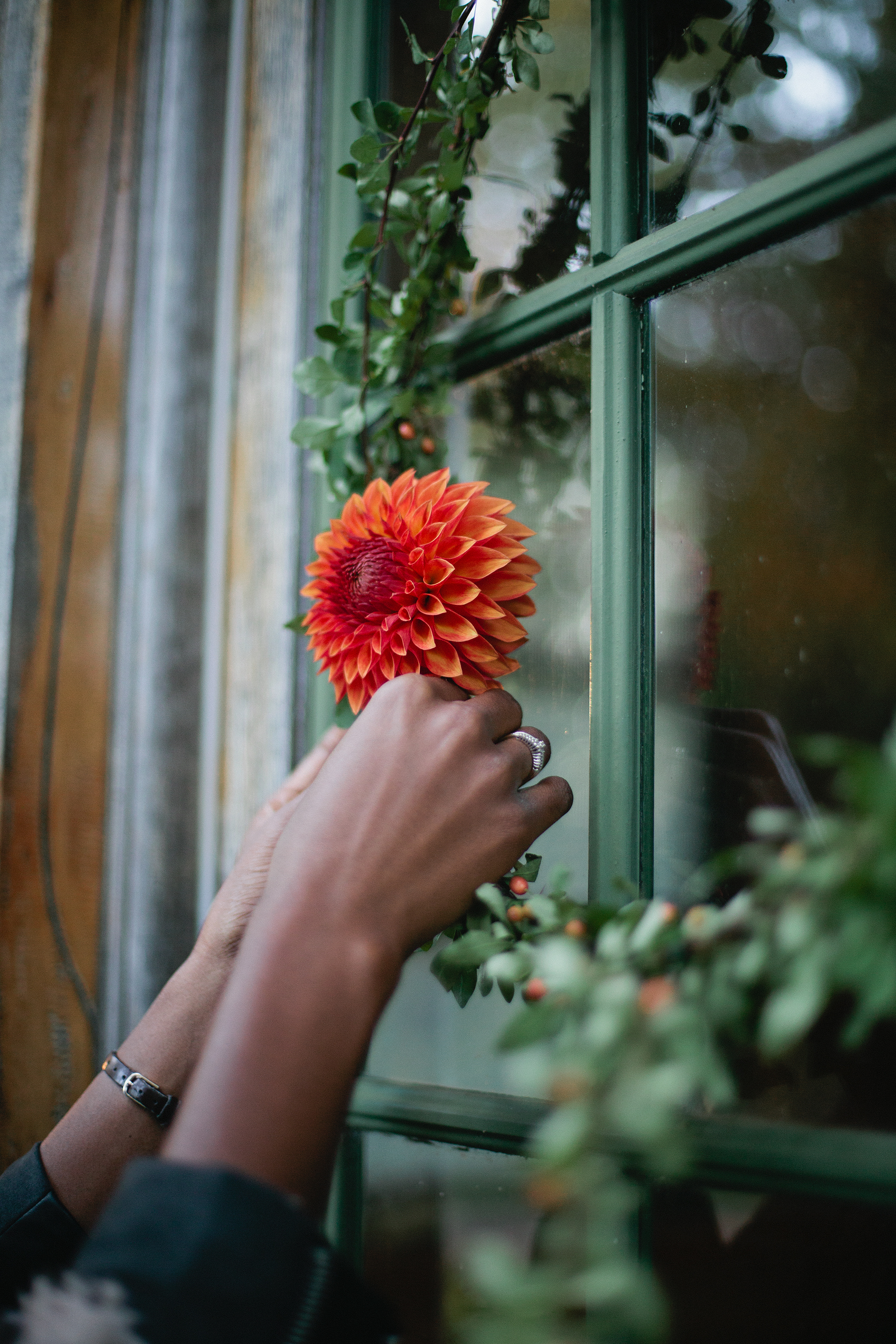 blooms_8793.jpg