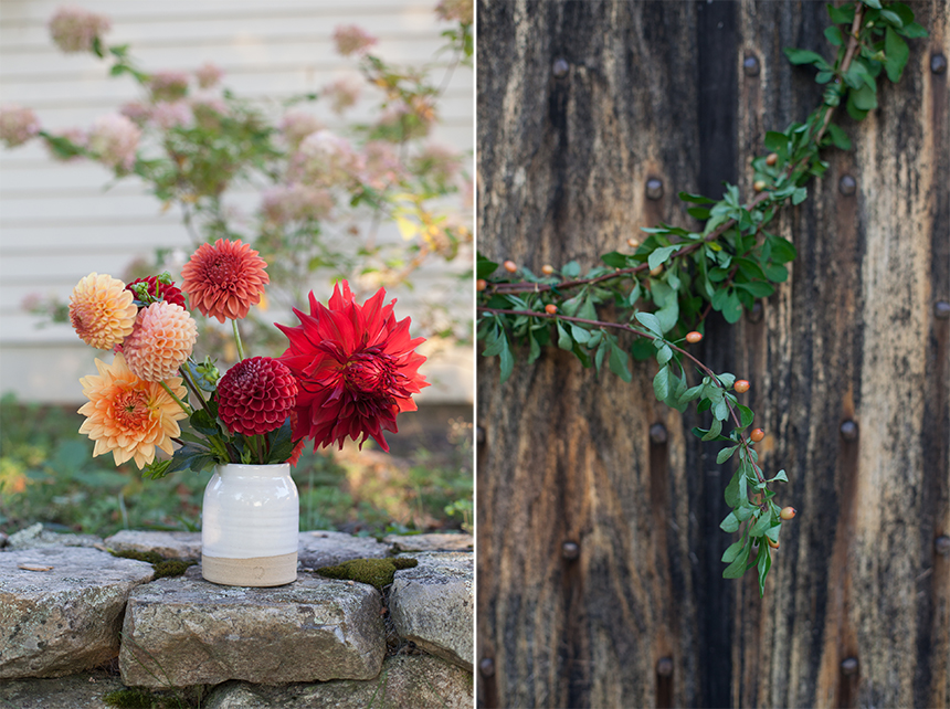 blooms_8878 copy.jpg