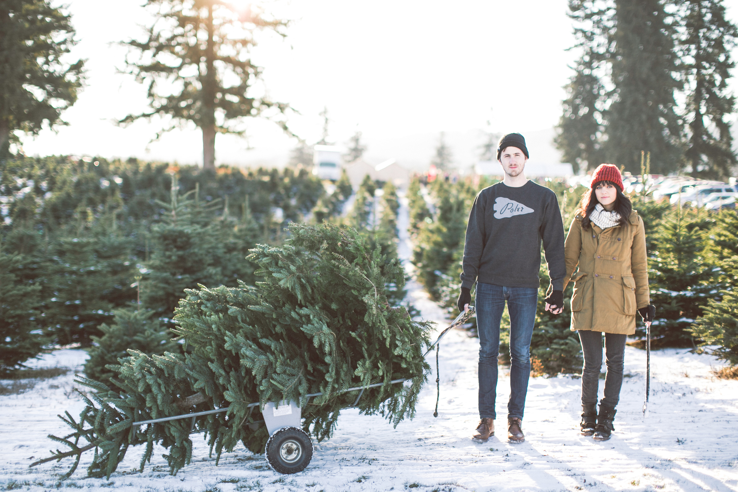 Anthem_Lamb-Christmas-Tree56.jpg
