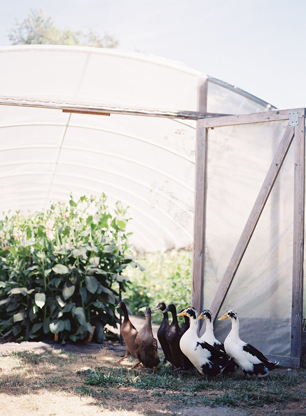 The Elevated Wildflower Meadow-Inspired Workshop and Dinner with Floret Flowers, Part One