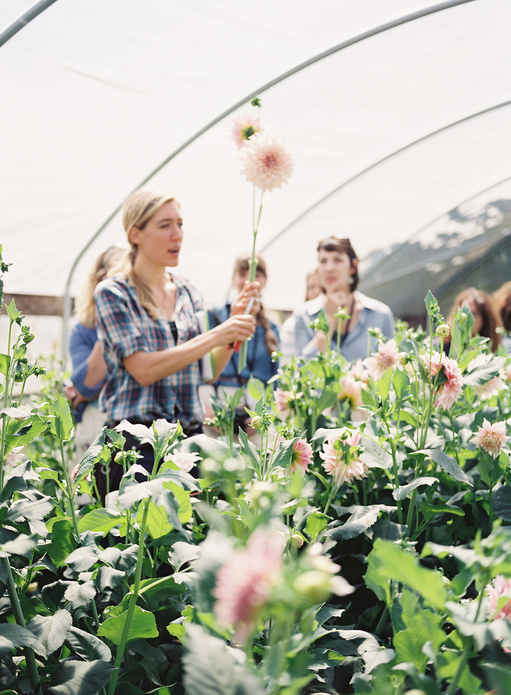The Elevated Wildflower Meadow-Inspired Workshop and Dinner with Floret Flowers, Part One