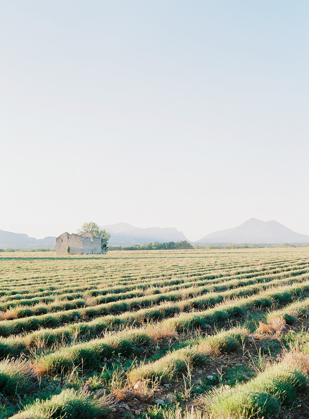 Anna_Provence2016-45OK.jpg