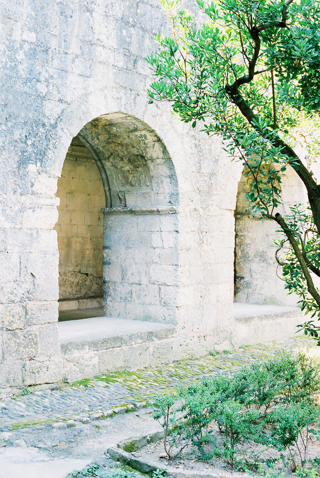 Anna_Provence2016-250OK.jpg