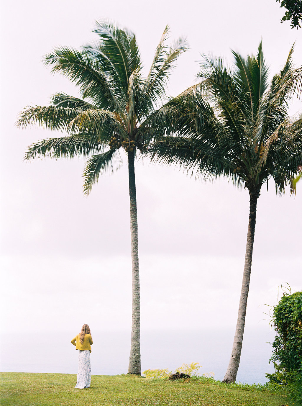 Hawaii Engagement Inspiration from Cottage Hill-2002.jpg