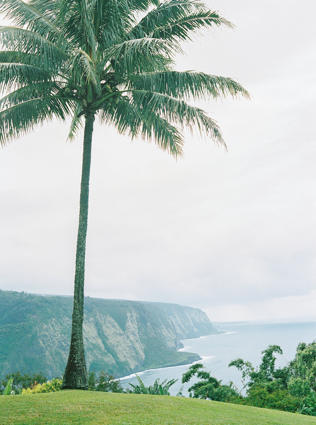 Hawaii Engagement Inspiration from Cottage Hill-2012.jpg