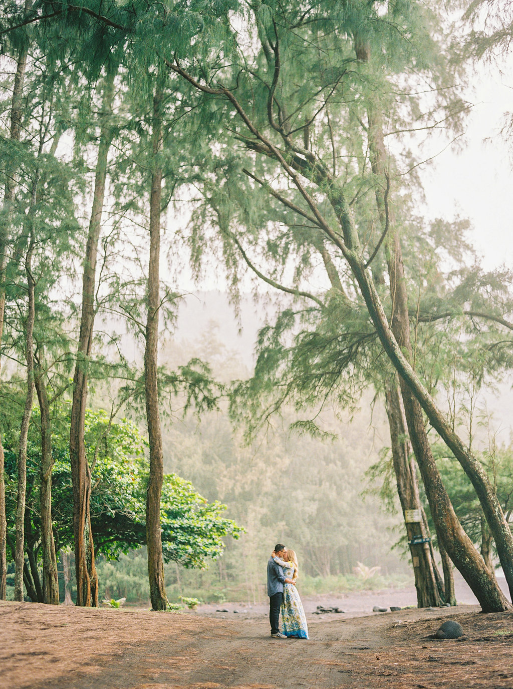 Hawaii Engagement Inspiration from Cottage Hill-2011.jpg