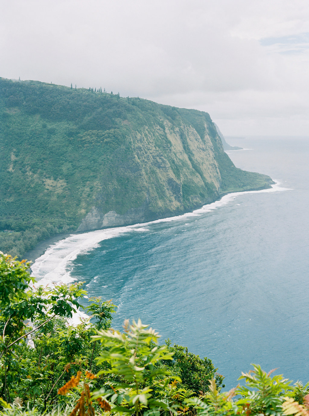 Hawaii Engagement Inspiration from Cottage Hill-2013.jpg