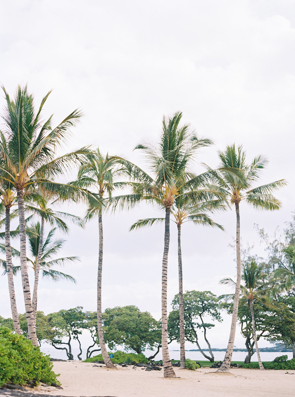 Hawaii Engagement Inspiration from Cottage Hill-2024.jpg