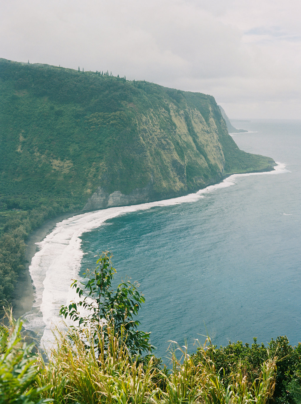 Hawaii Engagement Inspiration from Cottage Hill-2029.jpg
