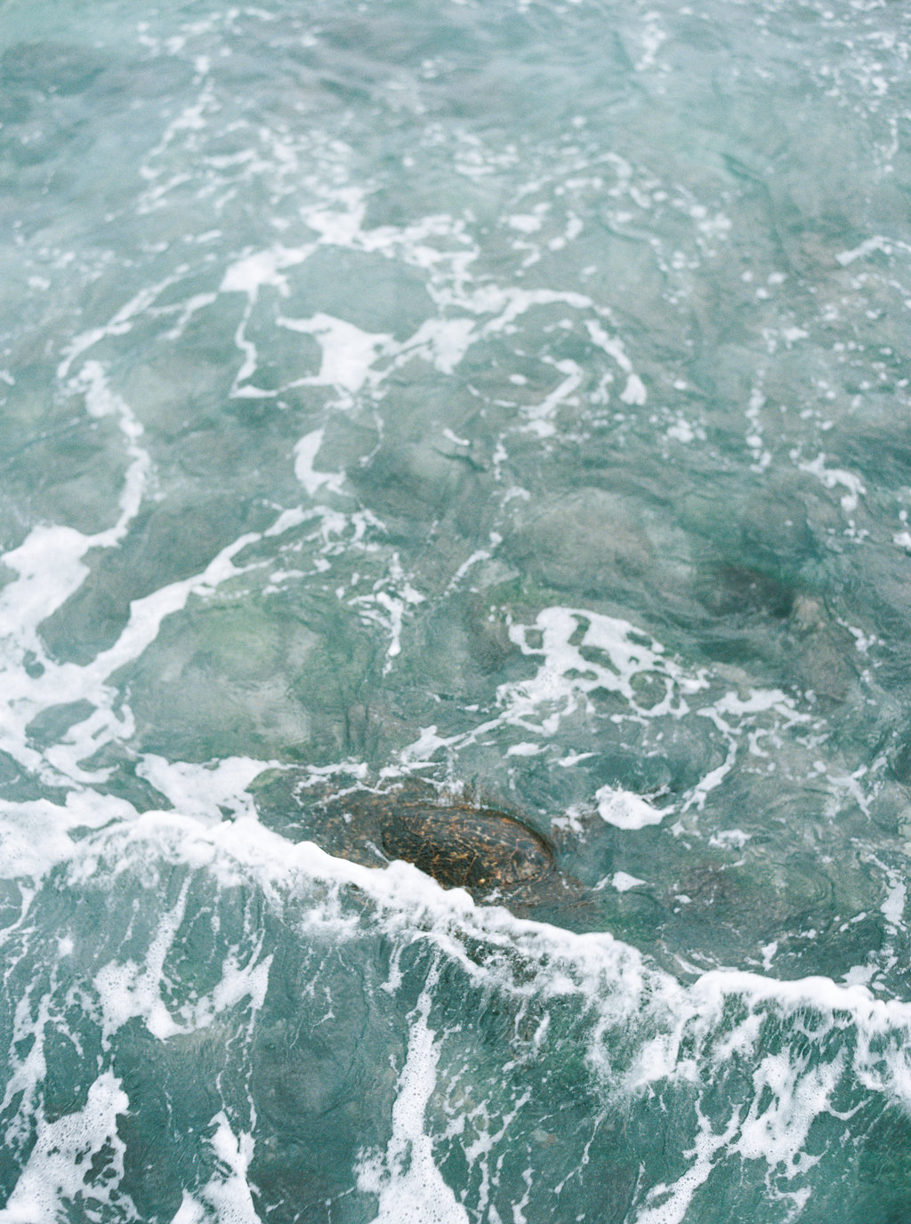 Hawaii Engagement Inspiration from Cottage Hill-2059.jpg