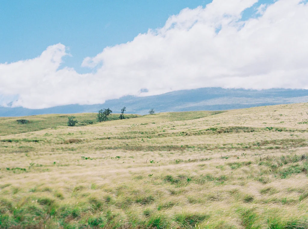 Hawaii Engagement Inspiration from Cottage Hill-2065.jpg