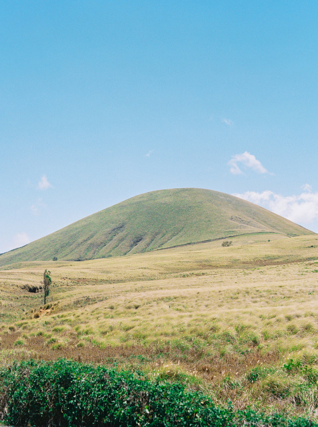 Hawaii Engagement Inspiration from Cottage Hill-2064.jpg