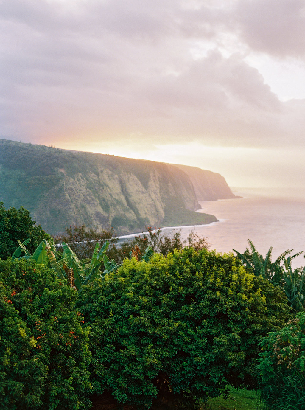 Hawaii Engagement Inspiration from Cottage Hill-2077.jpg