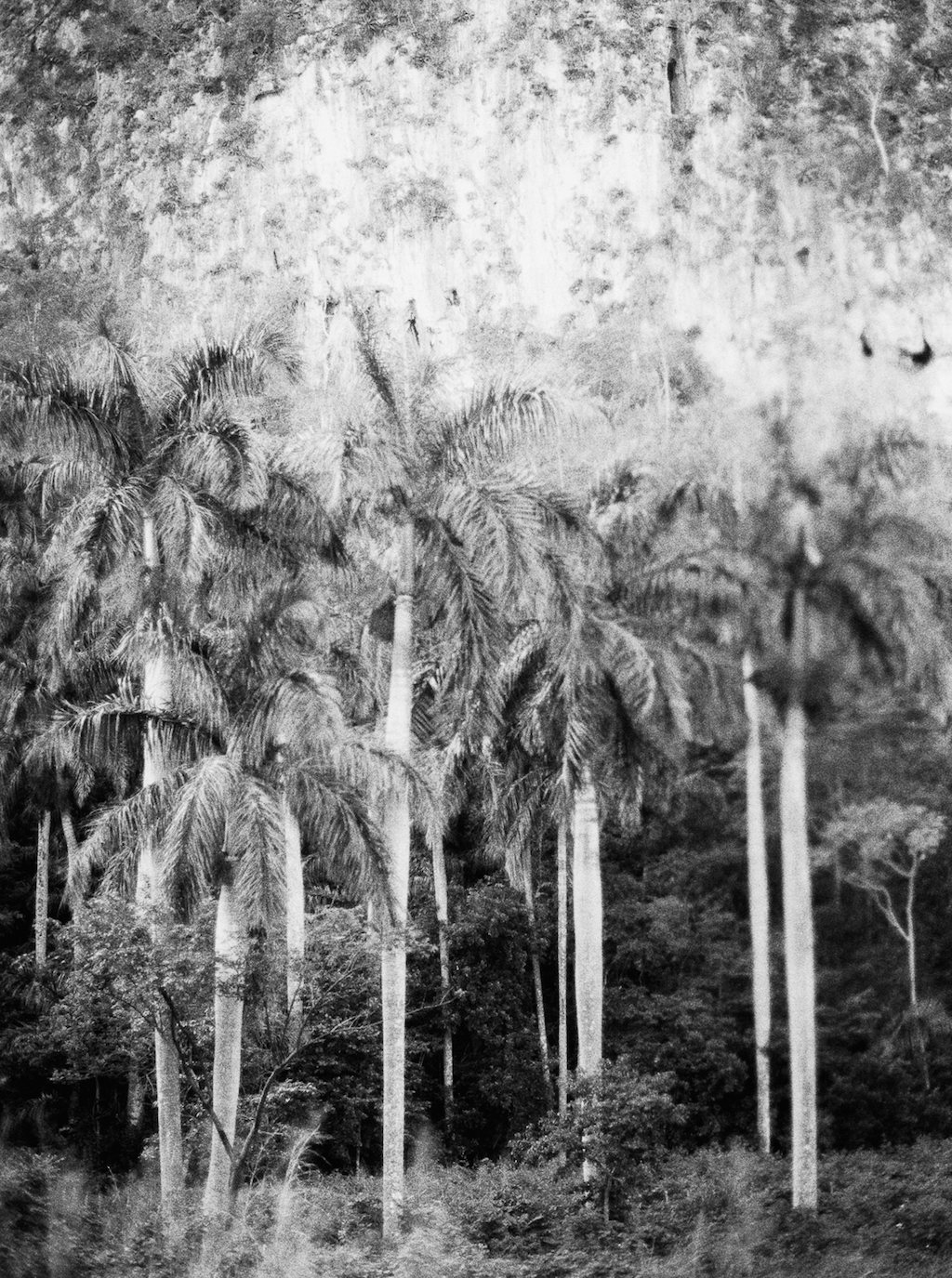 0524_08.jpg
